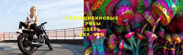 а пвп мука Баксан