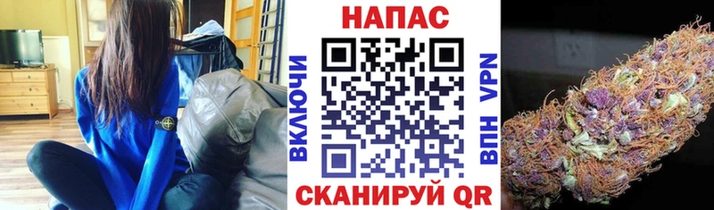 Каннабис индика  Гагарин 